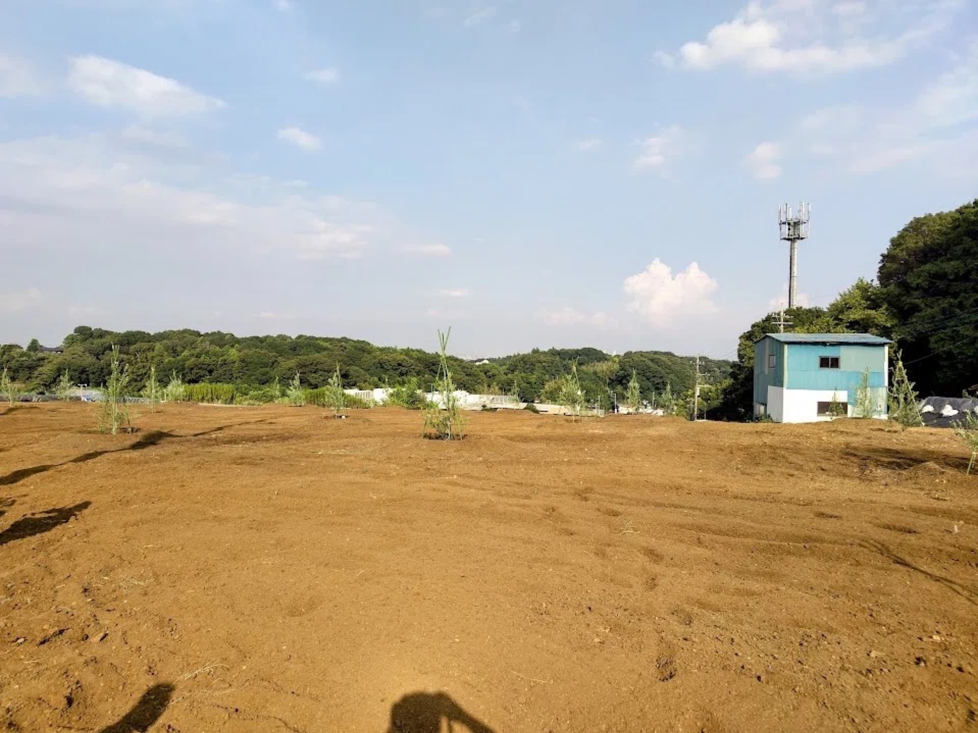 横浜オリーブ農園