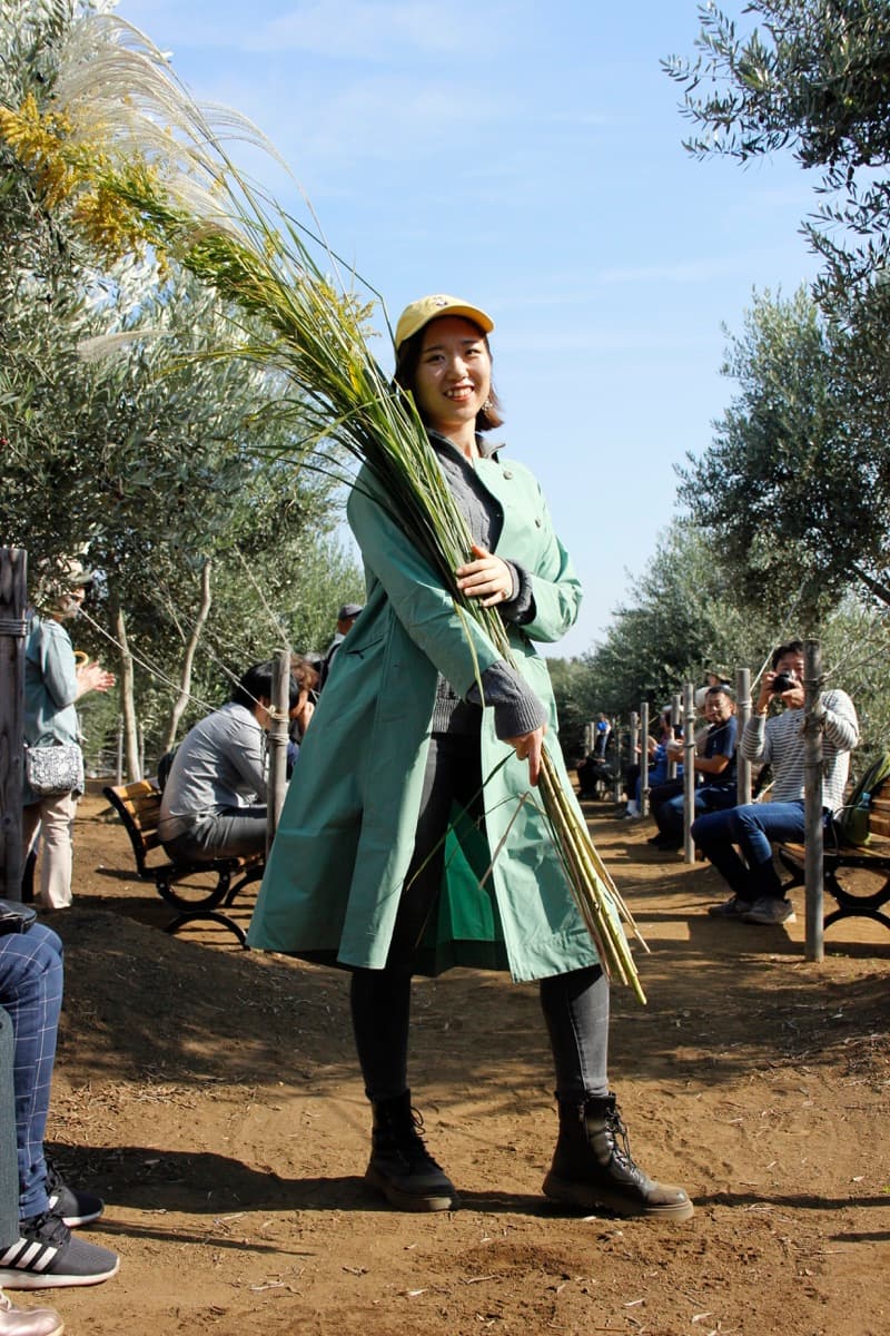 農業ガールズコレクション