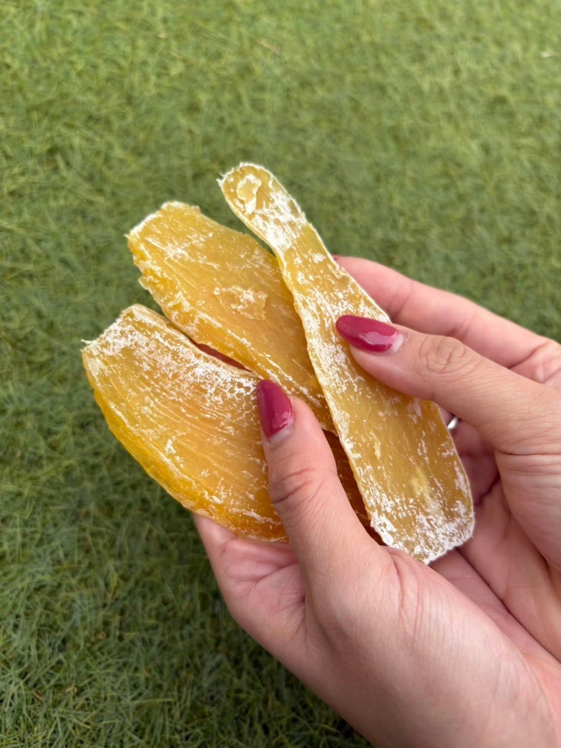 外で手軽に食べられるOIMOFIT.