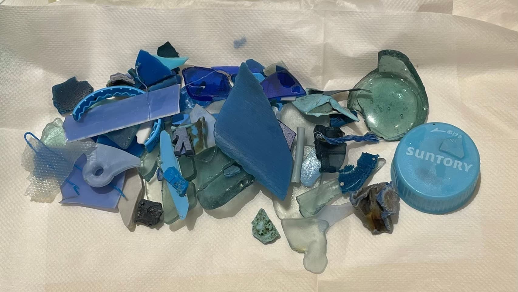 海岸で回収した青色の海洋プラスチック片