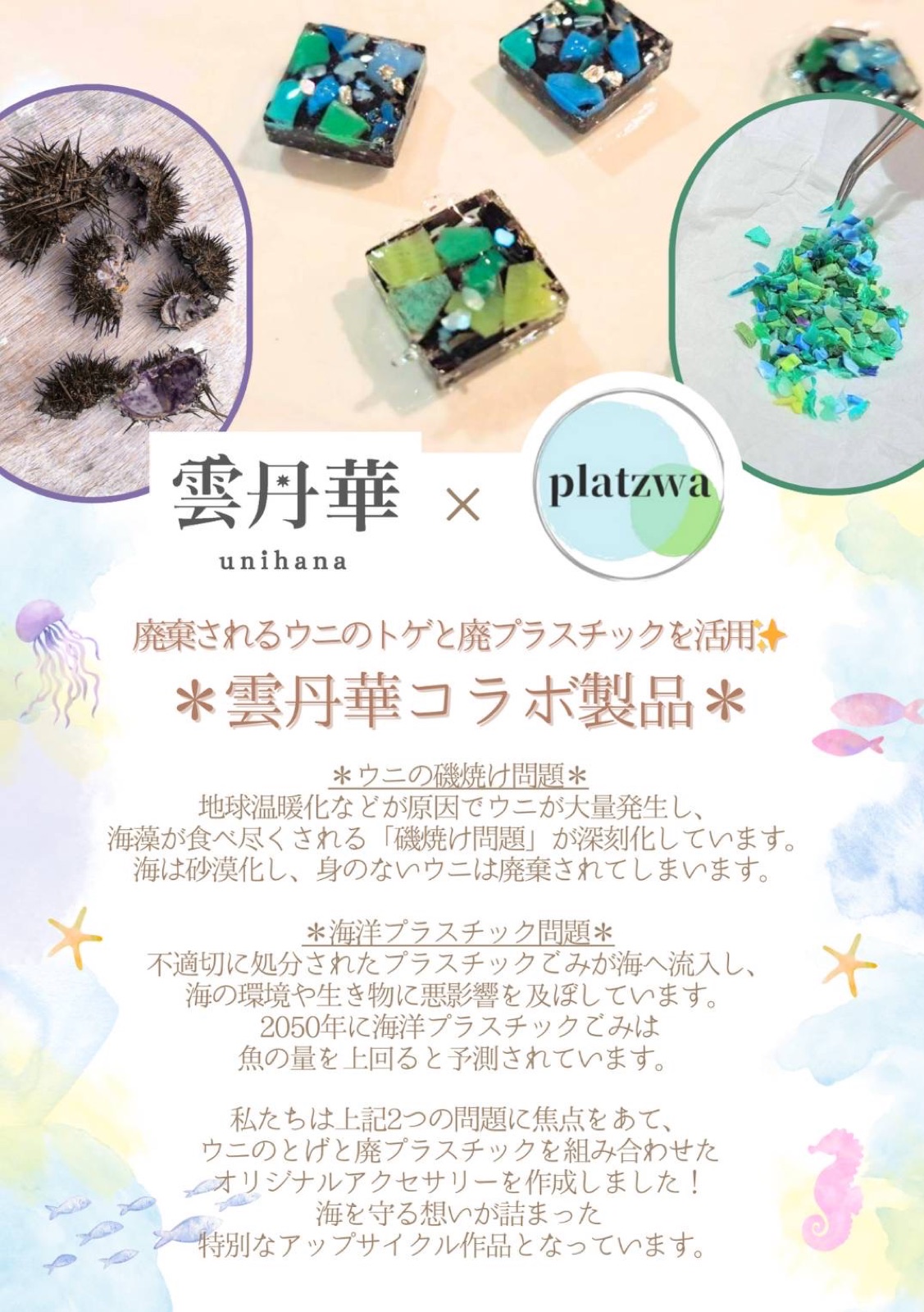 【雲丹華】Platswaとパートナー連携し作品制作&販売
